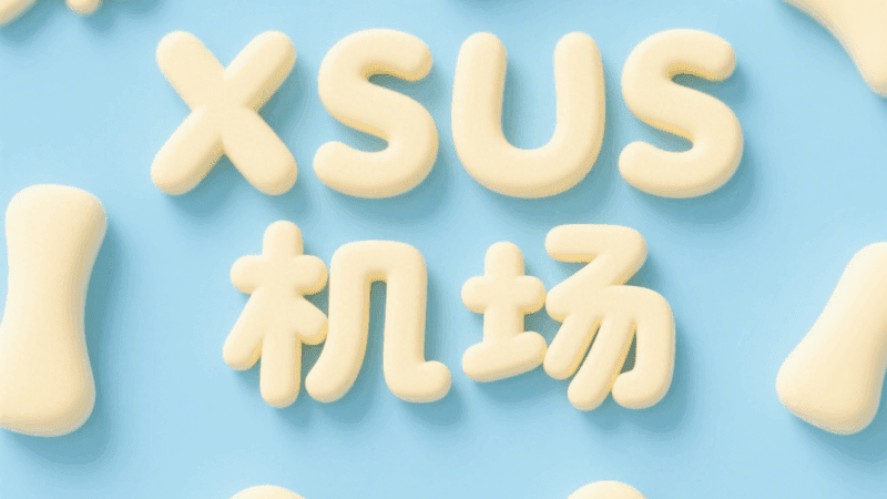 XSUS机场2022年3月25日运营至今的老牌机场、稳定可靠、高性价比。最低套餐月付¥8,是一个性价比高的机场。热门节点均仅保证解锁Netflix及Disney,目前能正常使用ChatGPT的节点有:香港,狮城(新加坡),日本,美国,英国等